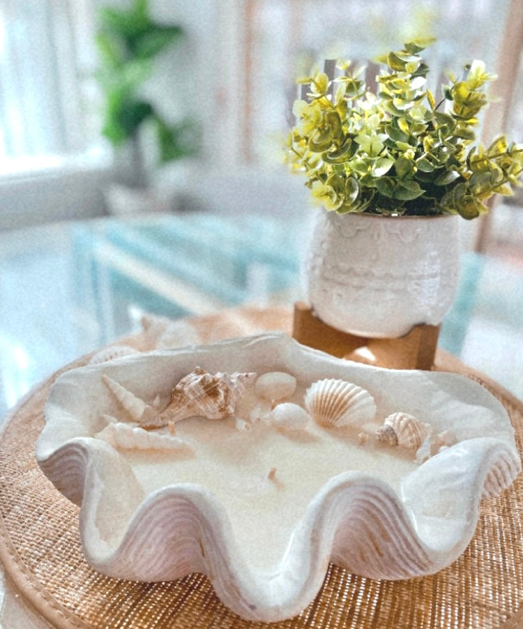 Coastal Clam shell Candle